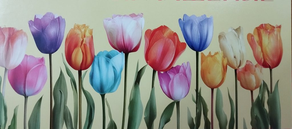 Торжественная встреча, организованная Московским городским Советом ветеранов, посвященная Международному женскому дню 8 Марта Торжественная встреча, организованная Московским городским Советом ветеранов, посвященная Международному женскому дню 8 Марта