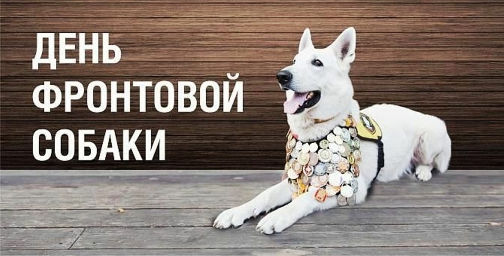 19 АВГУСТА – ДЕНЬ ФРОНТОВОЙ СОБАКИ 19 АВГУСТА – ДЕНЬ ФРОНТОВОЙ СОБАКИ
